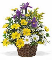 Ankara Eryaman Çankaya Çiçekçi firma ürünümüz karışık çiçeklerden mevsim sepeti Ankara çiçek gönder firması şahane ürünümüz