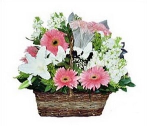 Ankara Eryaman çiçek gönder firmamızdan görsel ürün karışık mevsim çiçek sepeti Ankara çiçek gönder firması şahane ürünümüz